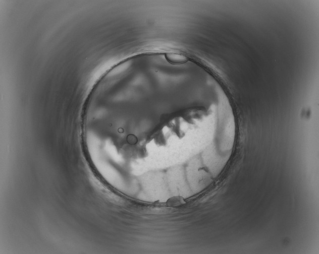 X0000114701471200911181305