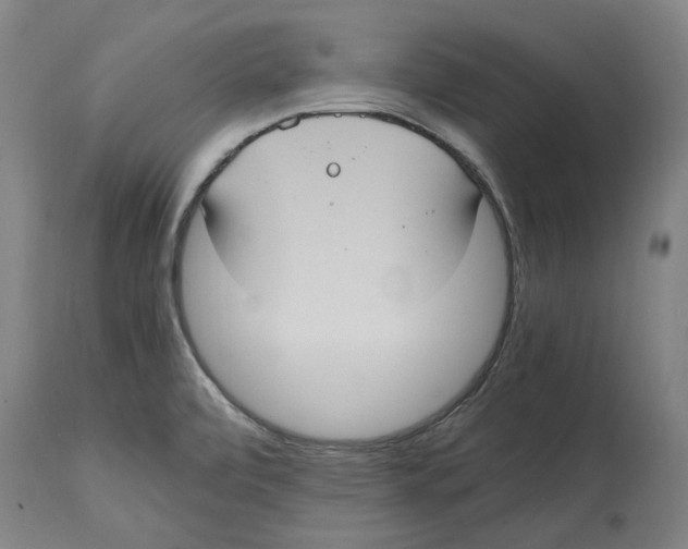 X0000114701472200911181305