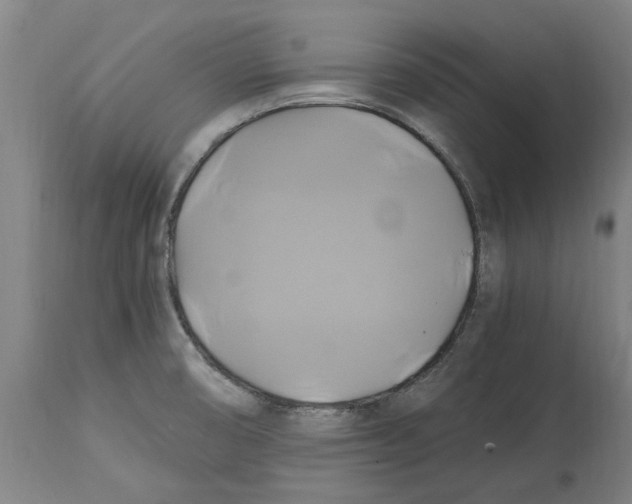 X0000114701474200911181305