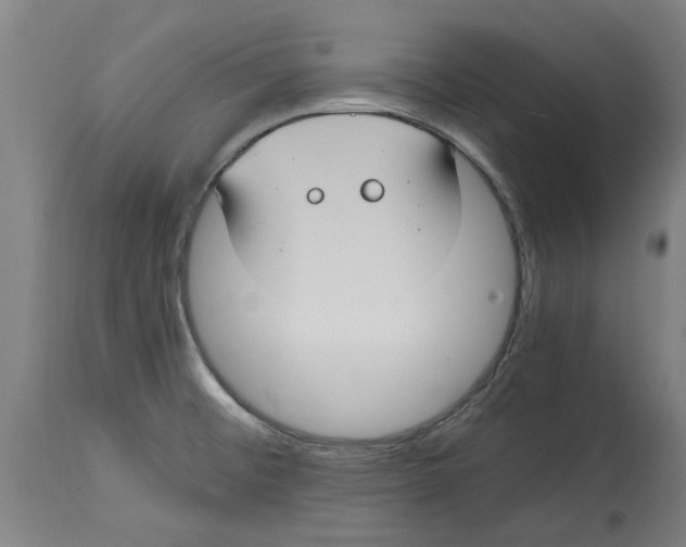 X0000114701476200911181305