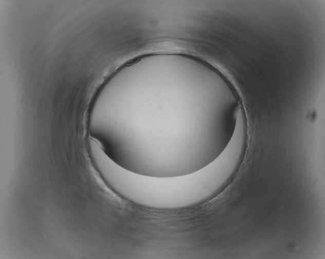 X0000114701477200911181305