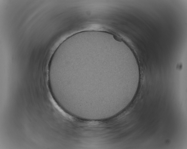 X0000114701479200911181305