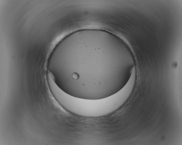 X0000114701480200911181305