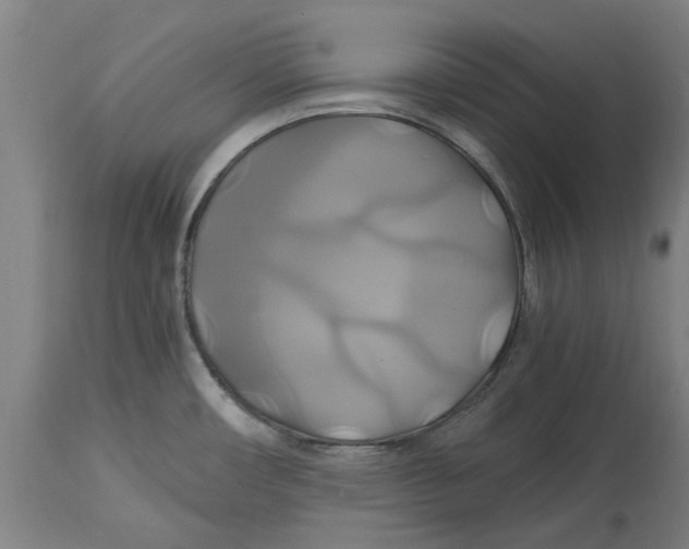 X0000114701482200911181305