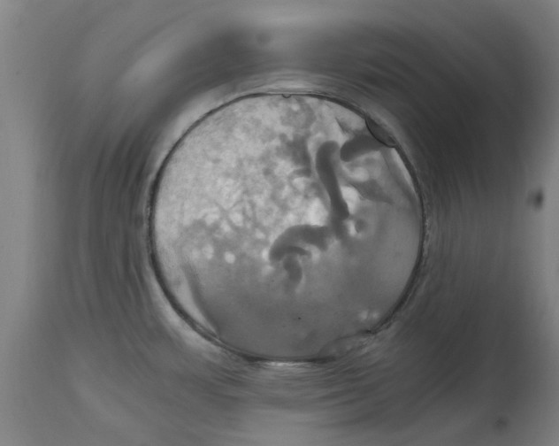 X0000114701483200911181305