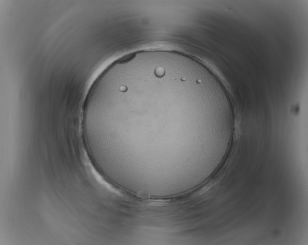 X0000114701484200911181305