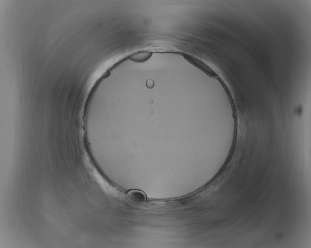 X0000114701485200911181305