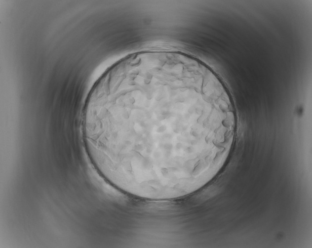 X0000114701486200911181305