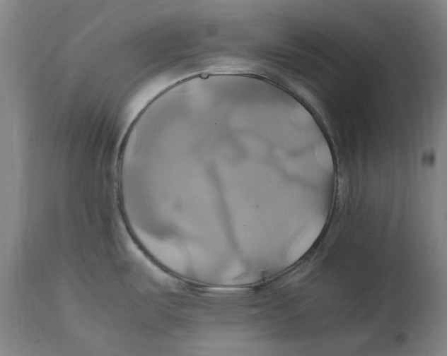 X0000114701487200911181305