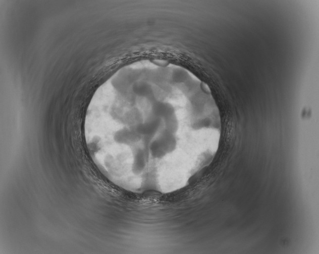 X0000114701489200911181304