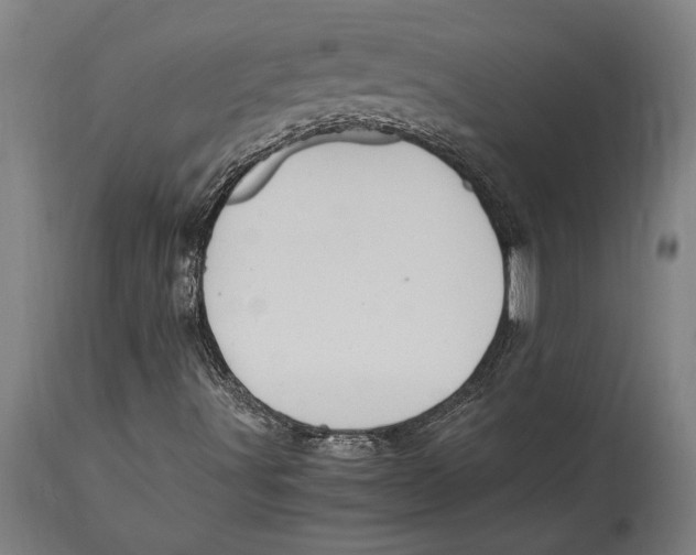 X0000114701491200911181304