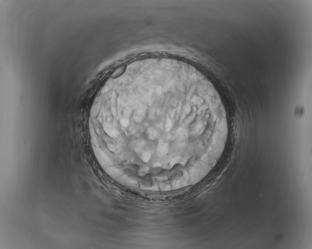 X0000114701494200911181304