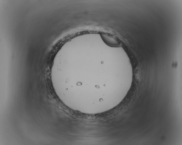 X0000114701495200911181304