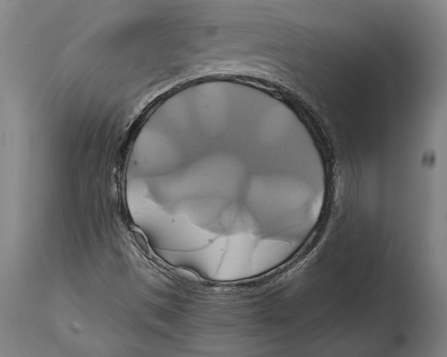 X0000114701497200911181304