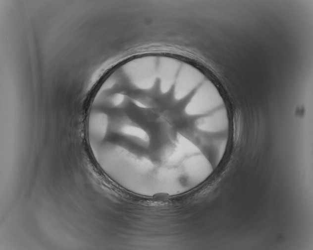 X0000114701501200911181304