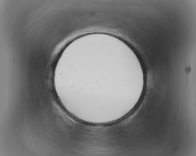 X0000114701502200911181304