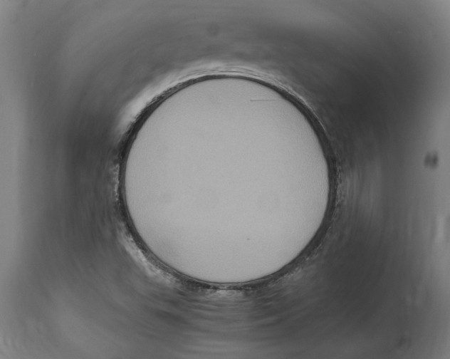 X0000114701503200911181304