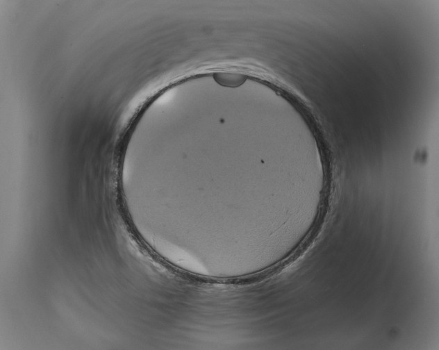 X0000114701506200911181304