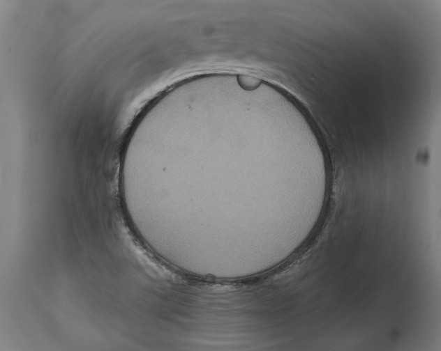 X0000114701507200911181304