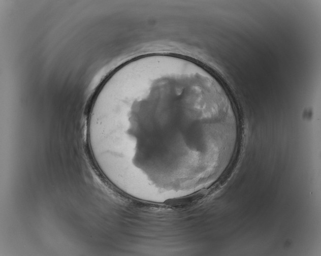 X0000114701509200911181304