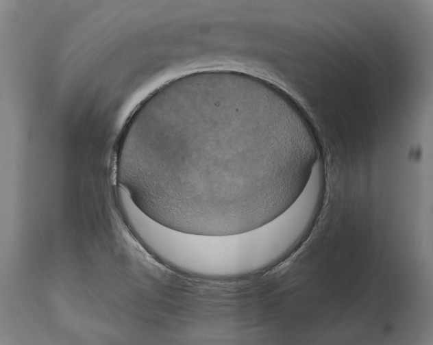 X0000114701510200911181304