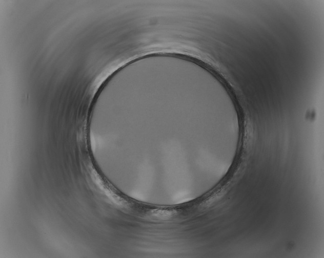 X0000114701513200911181304