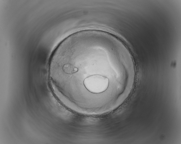 X0000114701514200911181304