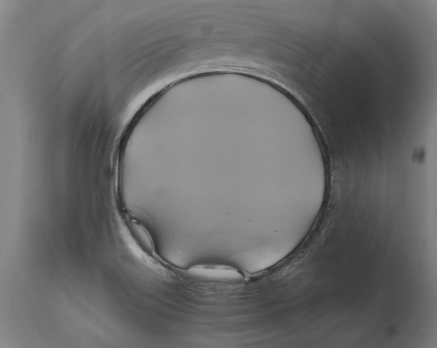 X0000114701515200911181304