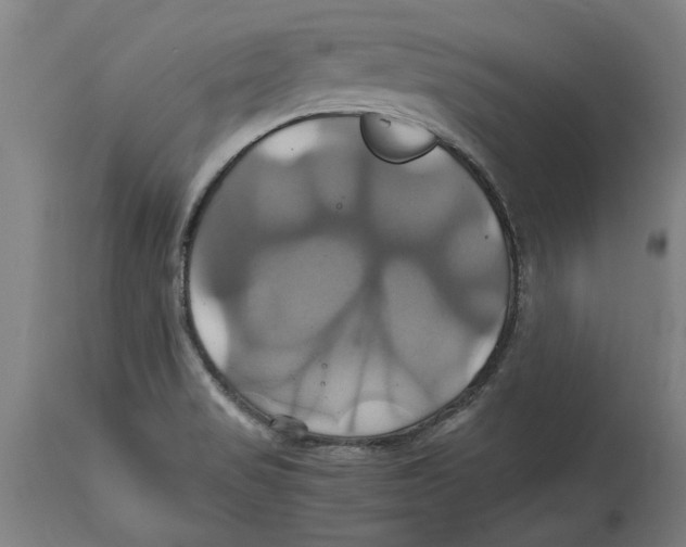 X0000114701517200911181304