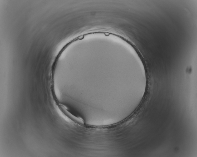 X0000114701519200911181304