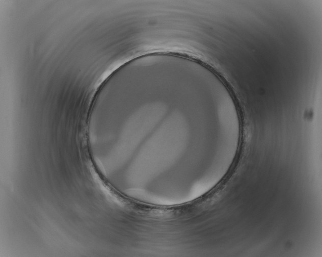 X0000114701521200911181304