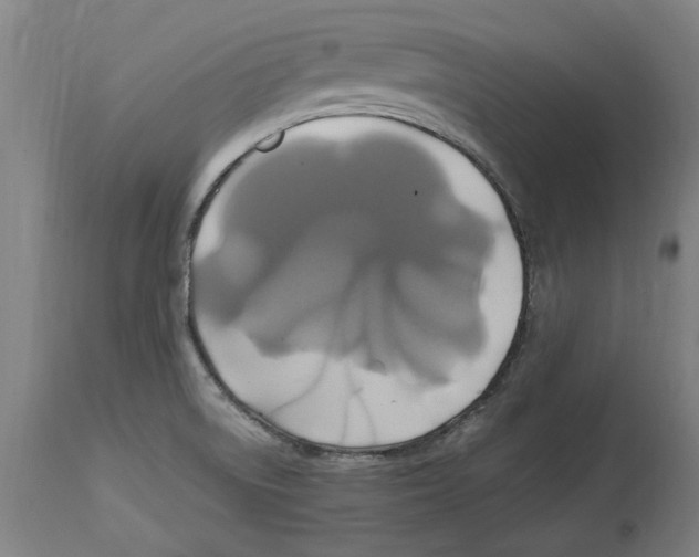 X0000114701522200911181304