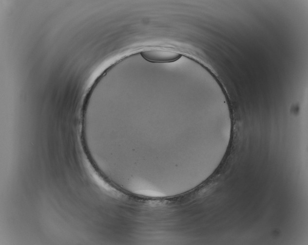 X0000114701523200911181304