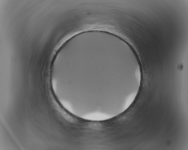 X0000114701525200911181304