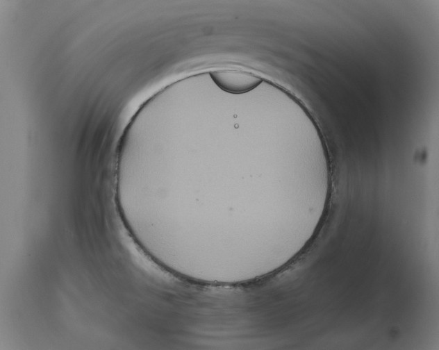 X0000114701526200911181304