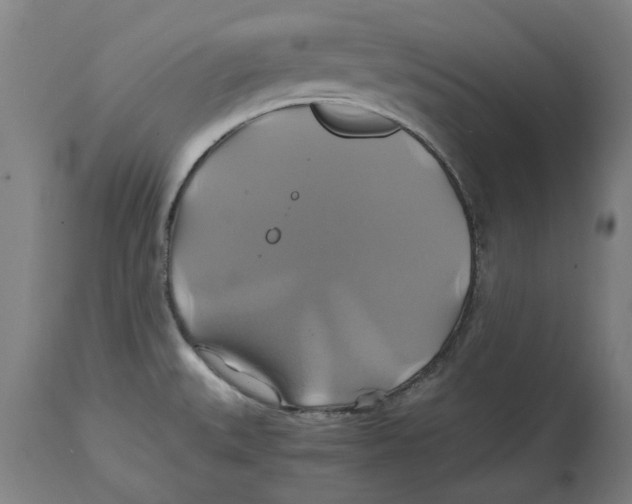 X0000114701527200911181304