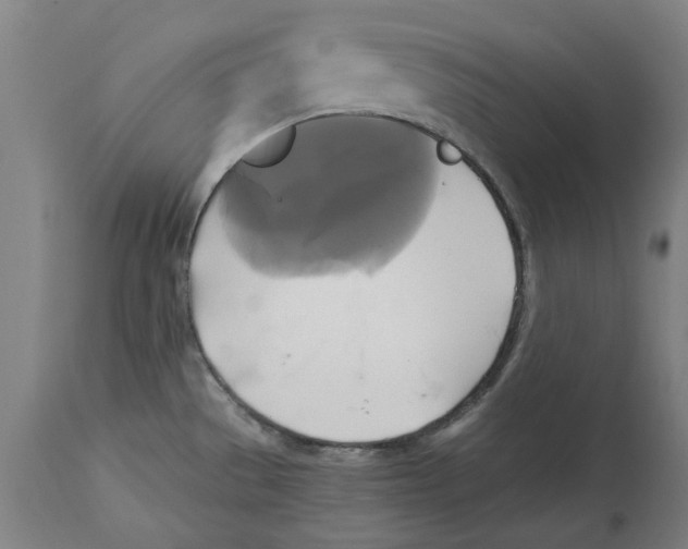 X0000114701529200911181304