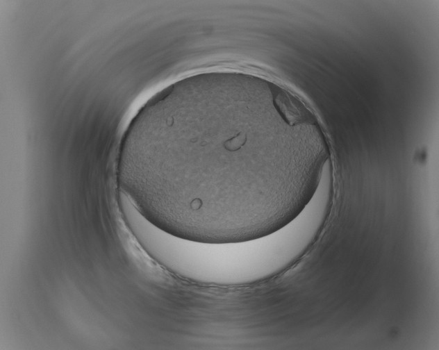 X0000114701530200911181305