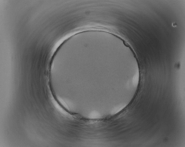 X0000114701531200911181305