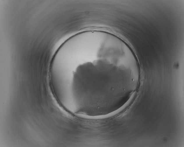 X0000114701533200911181305