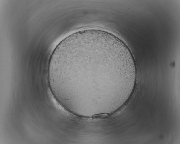 X0000114701534200911181305