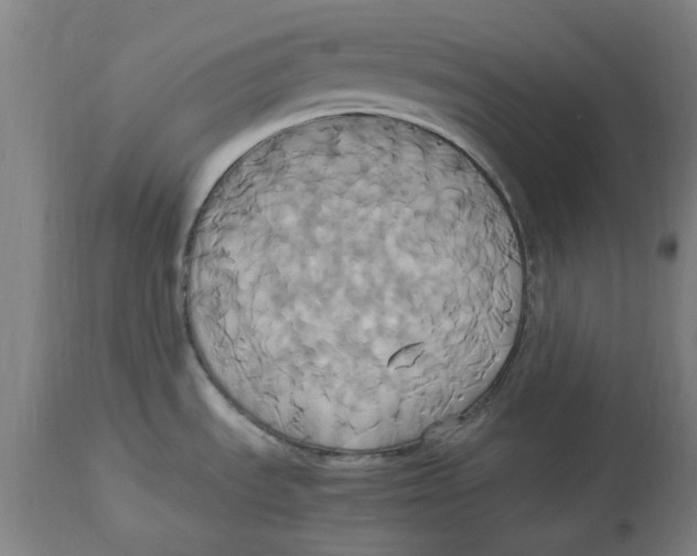 X0000114701535200911181305