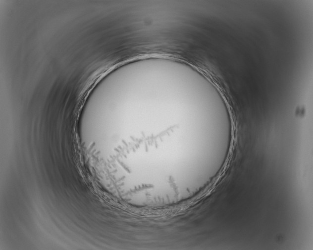 X0000114700001200912021118