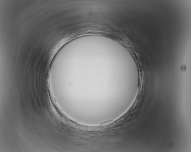 X0000114700003200912021118