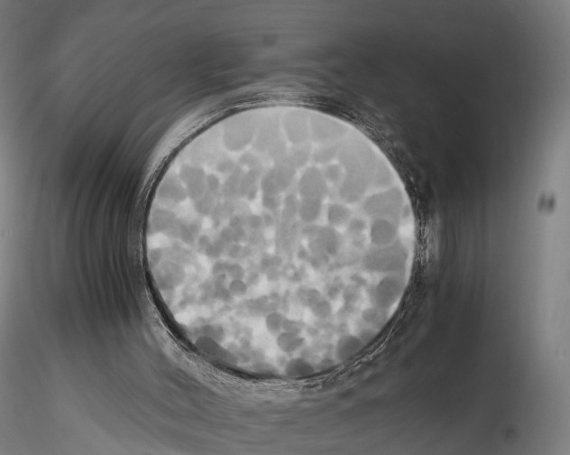 X0000114700004200912021118