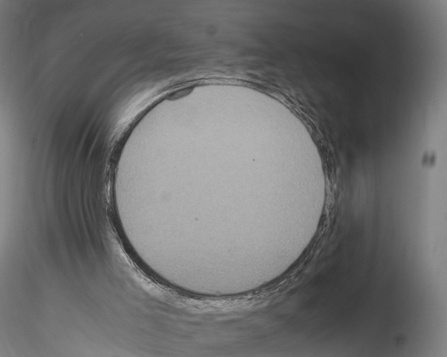 X0000114700005200912021118