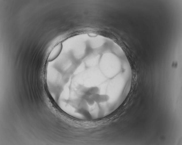 X0000114700006200912021118