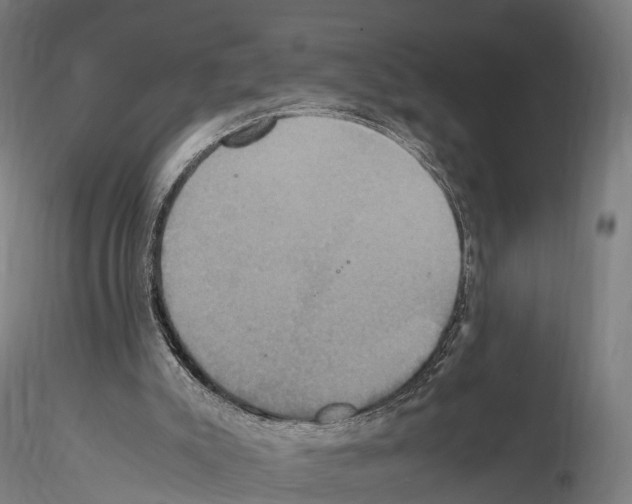 X0000114700007200912021118