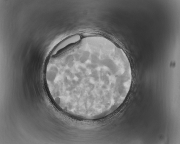 X0000114700008200912021118