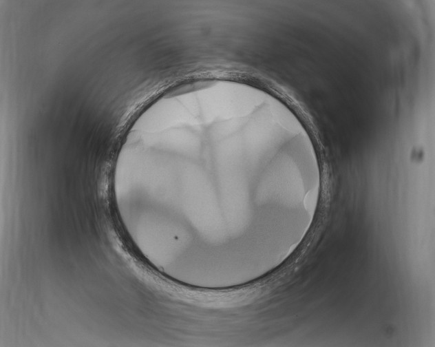 X0000114700010200912021118